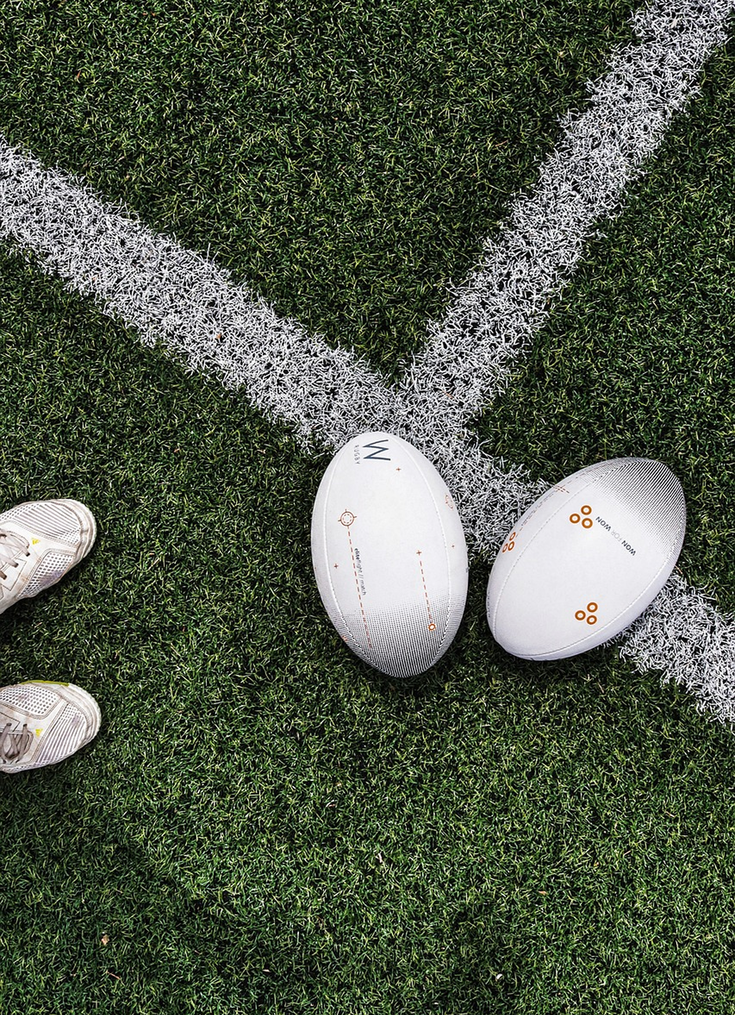 POCHAK login background